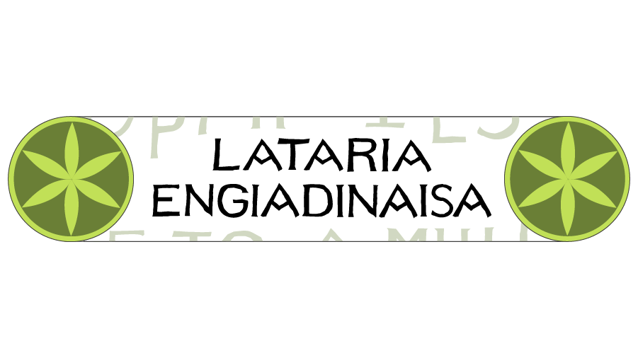 Lataria Engiadinaisa SA